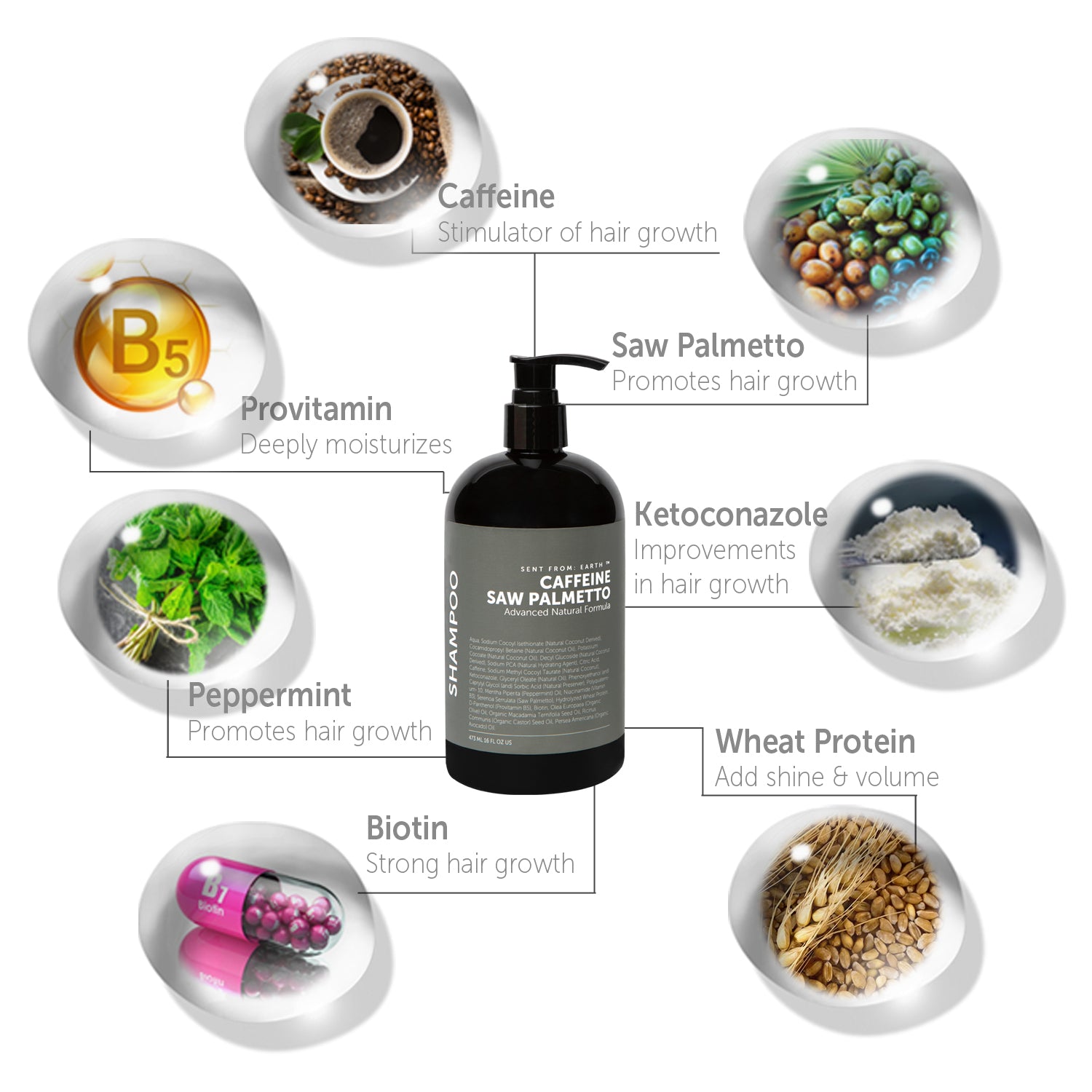 Caffeine Saw Palmetto Biotin Advanced Natural Formula Shampoo Ketoconazole 1%